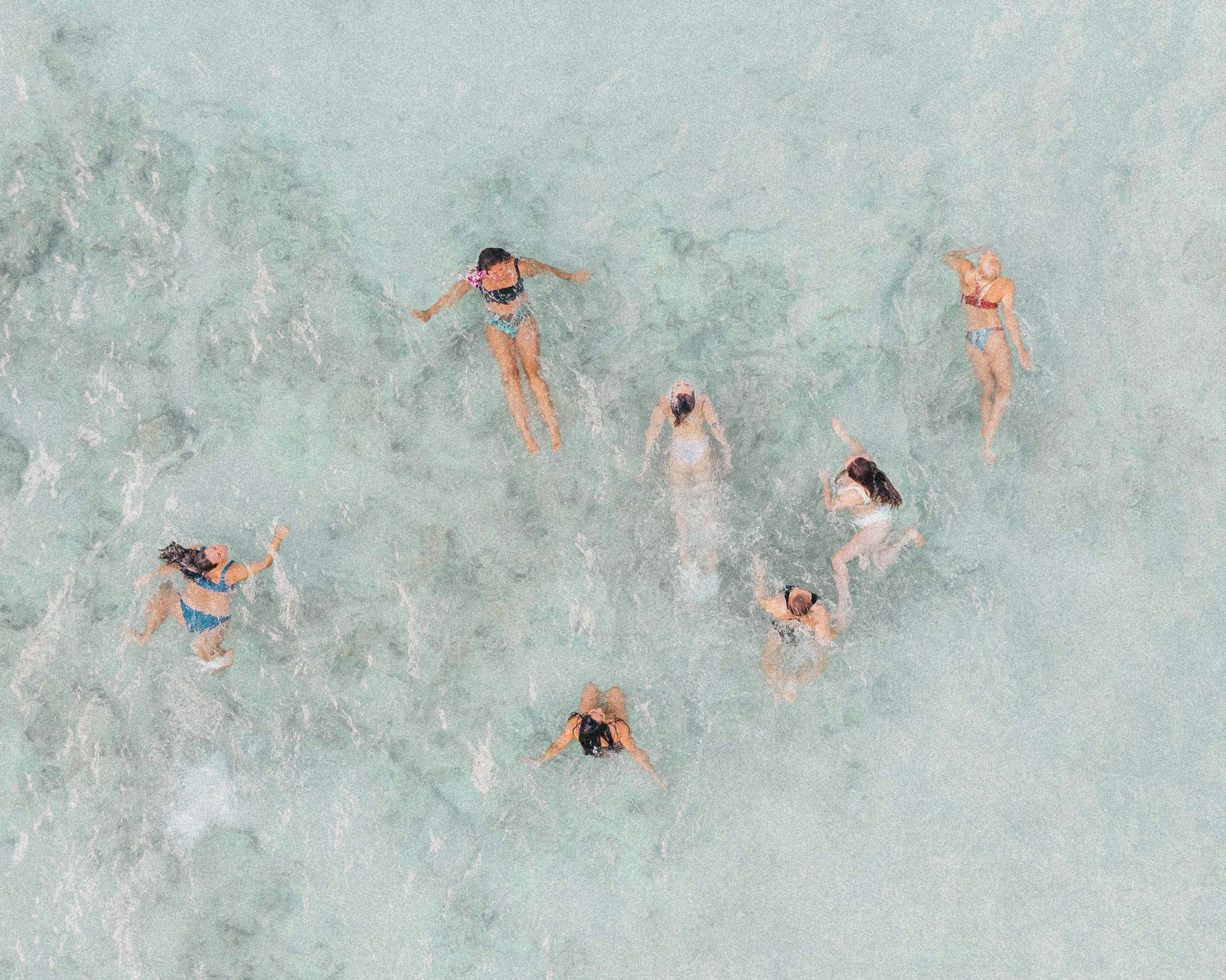 Pexels jess vide 4328962